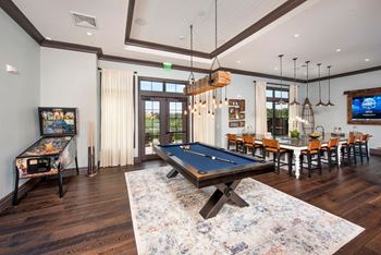 Game Room For Entertainment at Town Trelago, Florida